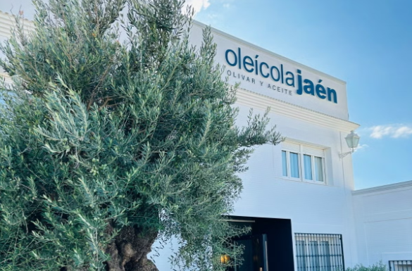 oleicola-jaen